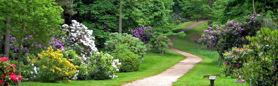 Sheringham Park Walks