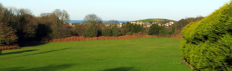 View out to sea from the site